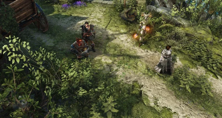 divinity: original sin 2