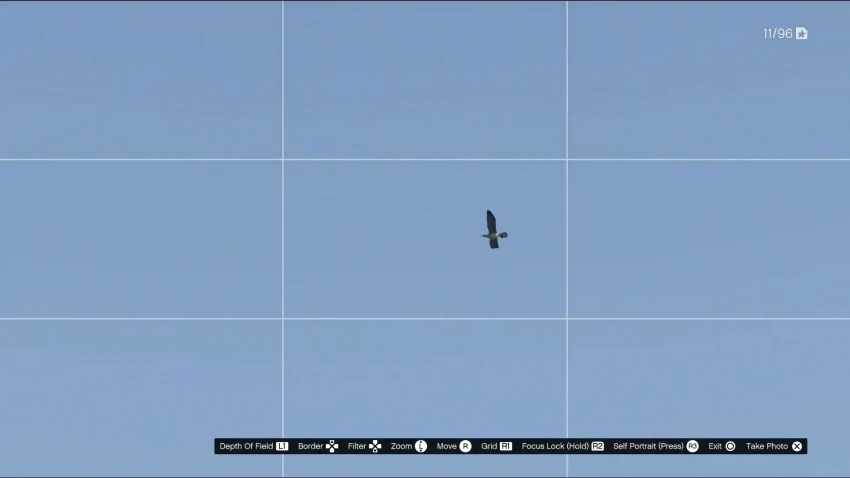 GTA Online чайка